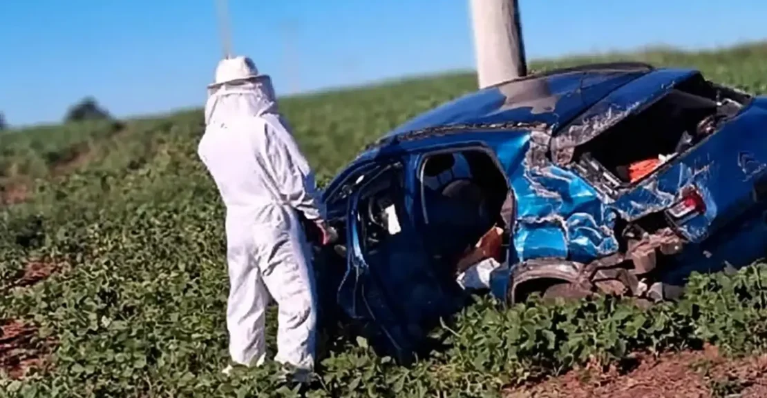 enxame de abelhas invade carro provoca capotamento no RS