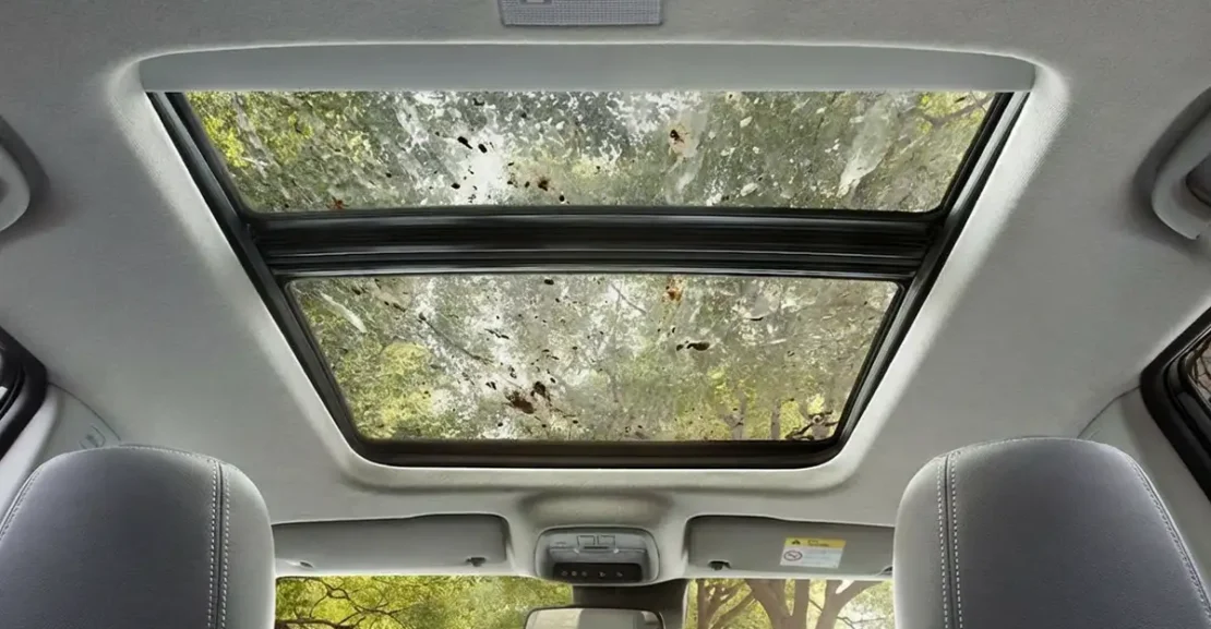 manutencao teto solar panoramico: cuidados essenciais para evitar infiltrações